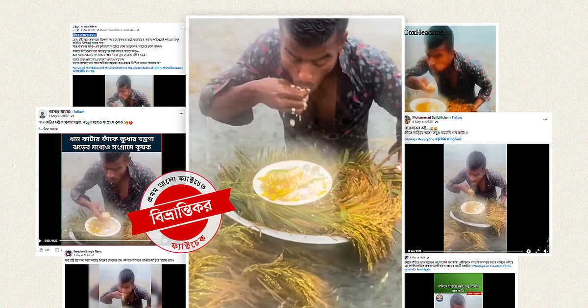 বৃষ্টিতে ভিজে ভিজে ধান কাটার ভিডিও বিভ্রান্তিকর