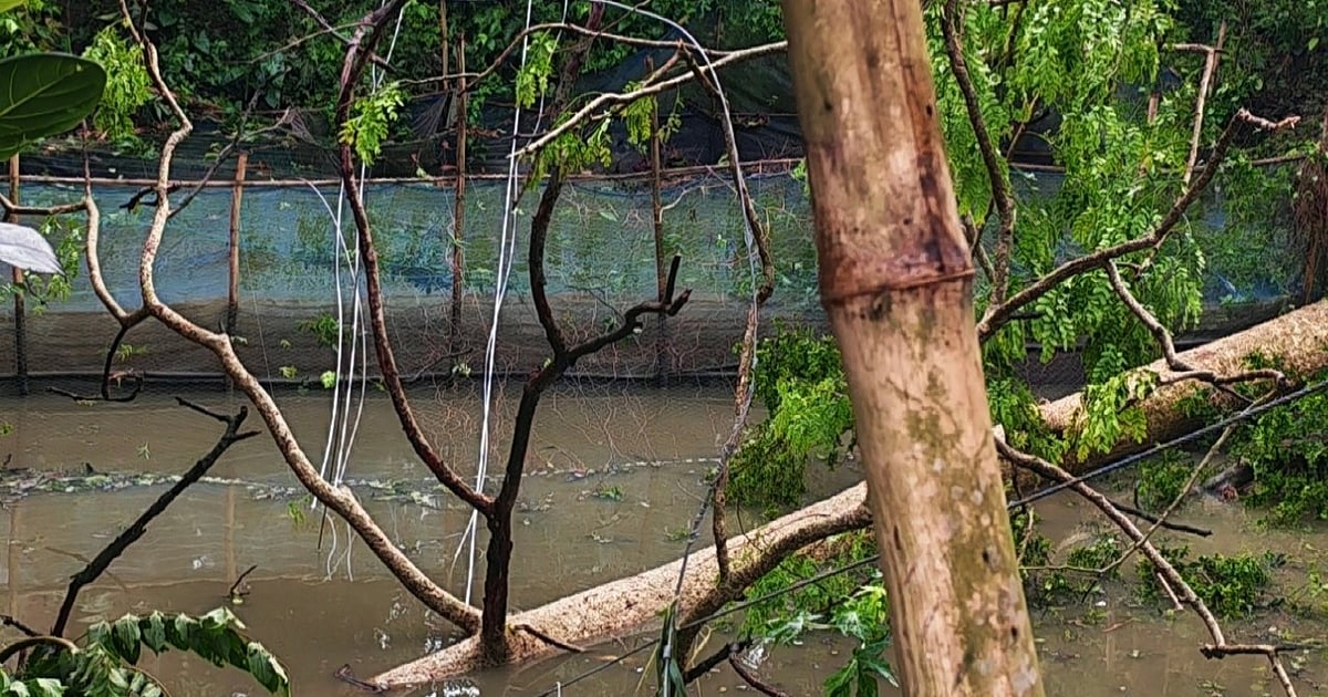 জয়পুরহাটে বিদ্যুৎহীনতার দুর্ভোগ