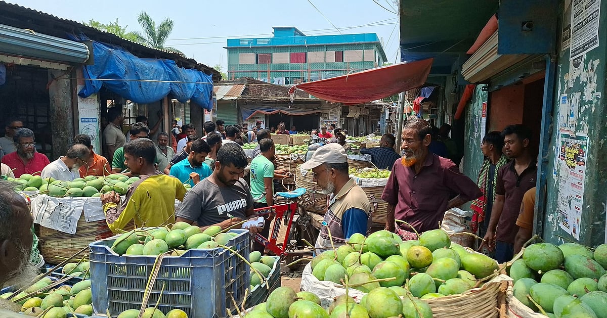 সাতক্ষীরার আমের বাজারে সিন্ডিকেটের কারণে চাষিরা দুশ্চিন্তায়