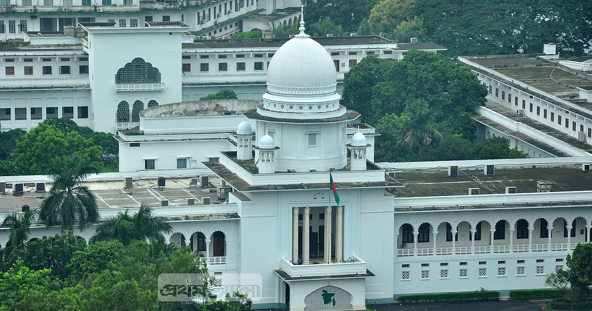 হত্যাচেষ্টা মামলার সৈয়দ সায়েদুল হকের জামিন বহাল
