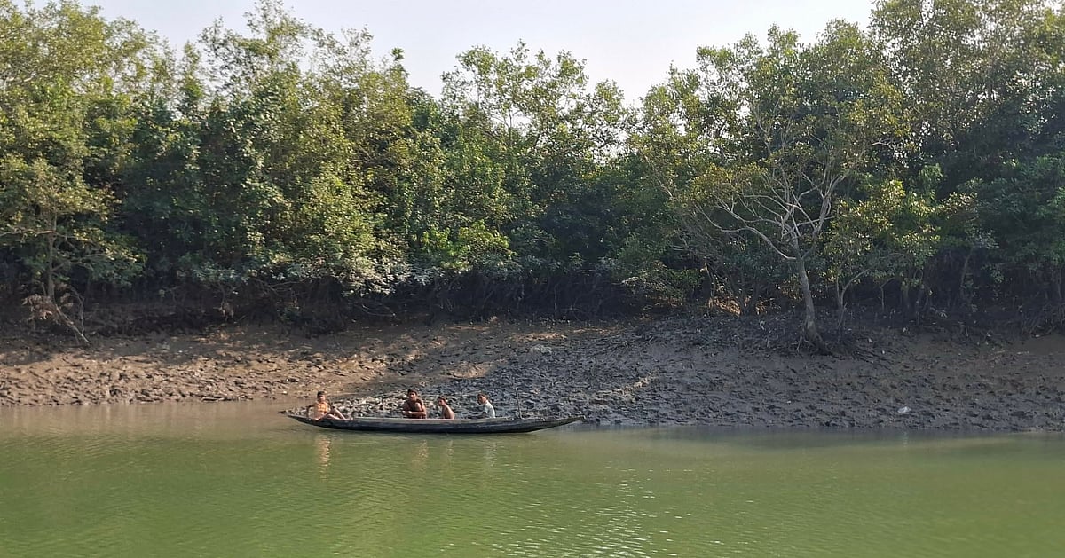 সুন্দরবনে আবারও ৮ বনজীবীকে অপহরণের ঘটনা