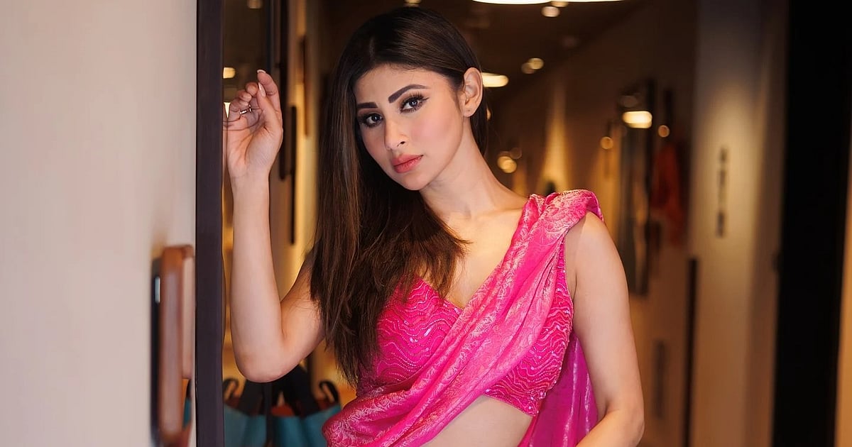 মৌনী রায় ও সুরজের বিচ্ছেদের খবর নিশ্চিত