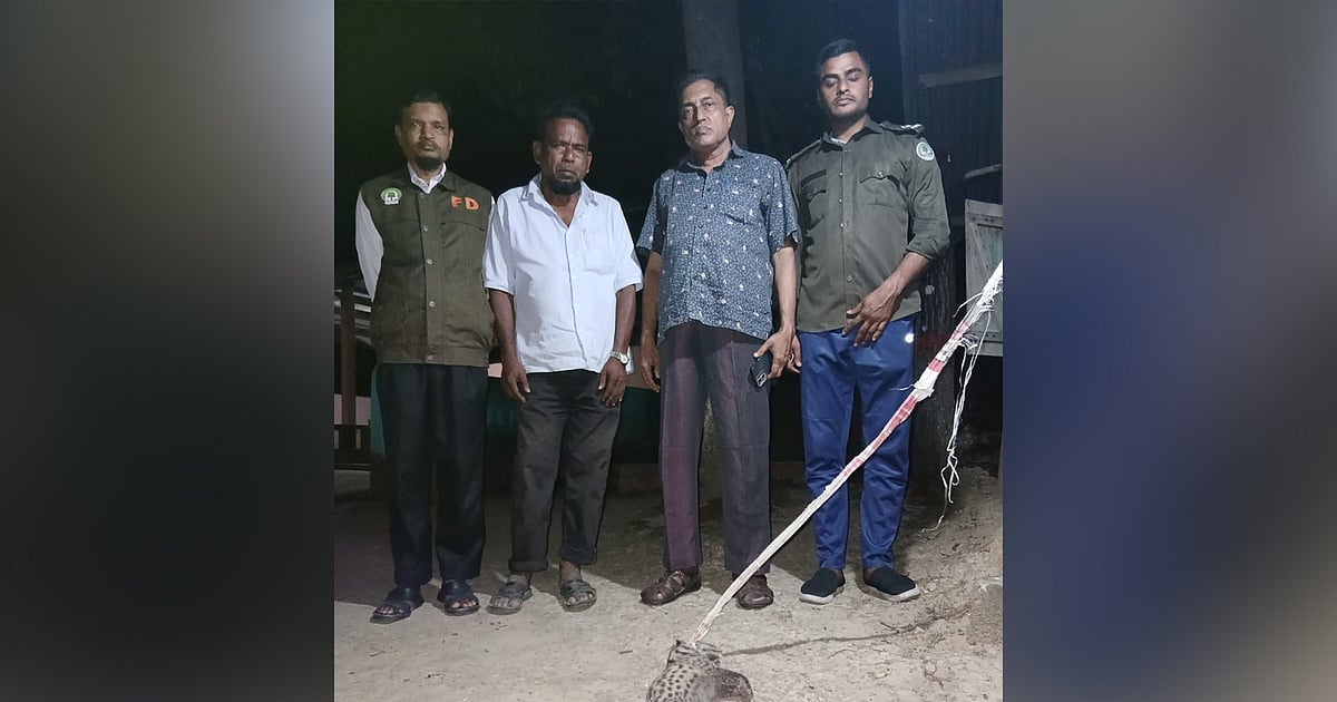 বাগডাশকে পিটিয়ে হত্যার পর ঝুলিয়ে রাখা হলো গাছে