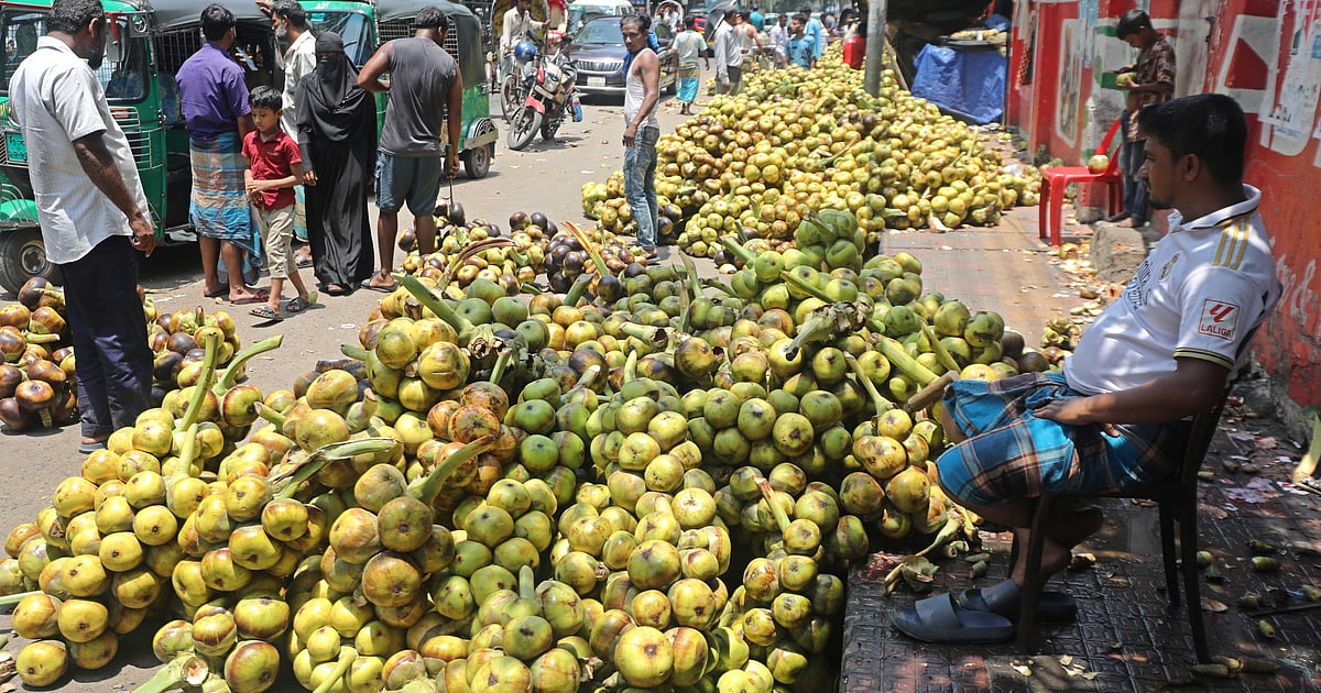 কাঁচা তালের শাঁসের মূল্য বৃদ্ধির কারণে গরমায় বাড়ছে চাহিদা