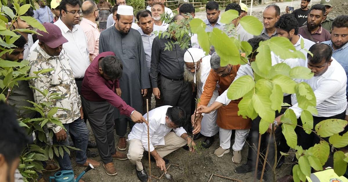 ঢাকা উত্তর সিটিতে মিয়াওয়াকি পদ্ধতিতে বনায়ন শুরু
