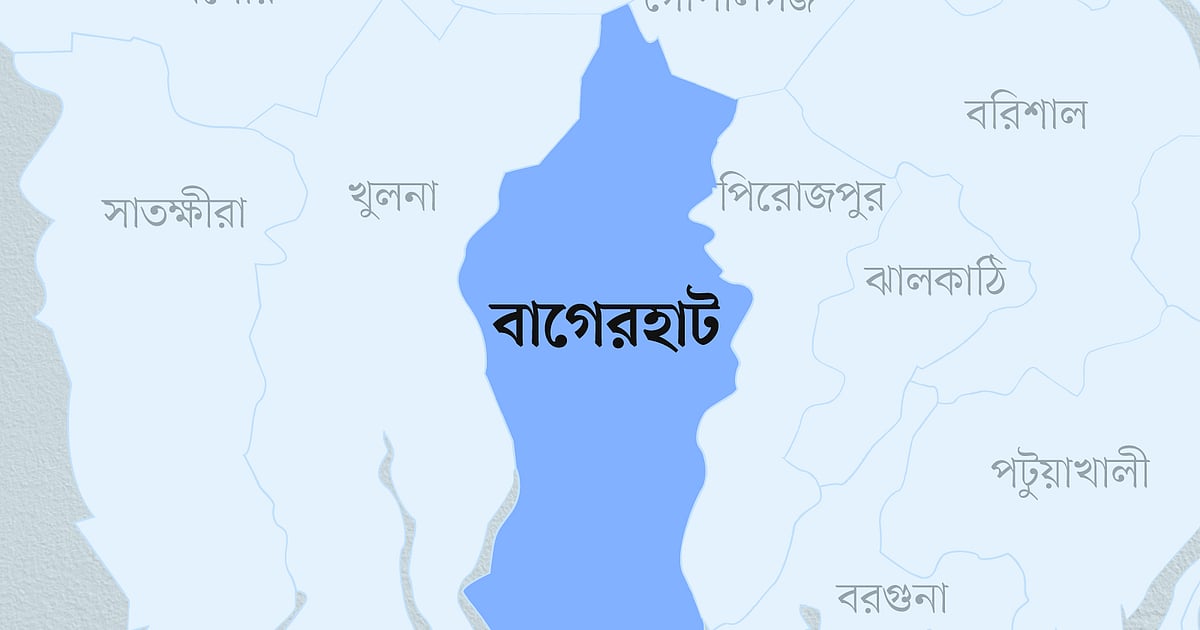 সুন্দরবনে দস্যুদের প্রধানসহ ৭ জনের আত্মসমর্পণ