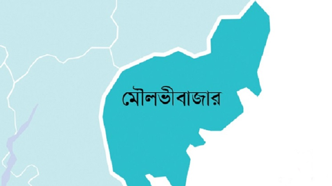 মোটরসাইকেল চুরি করে পালানোর সময় দুর্ঘটনায় নিহত