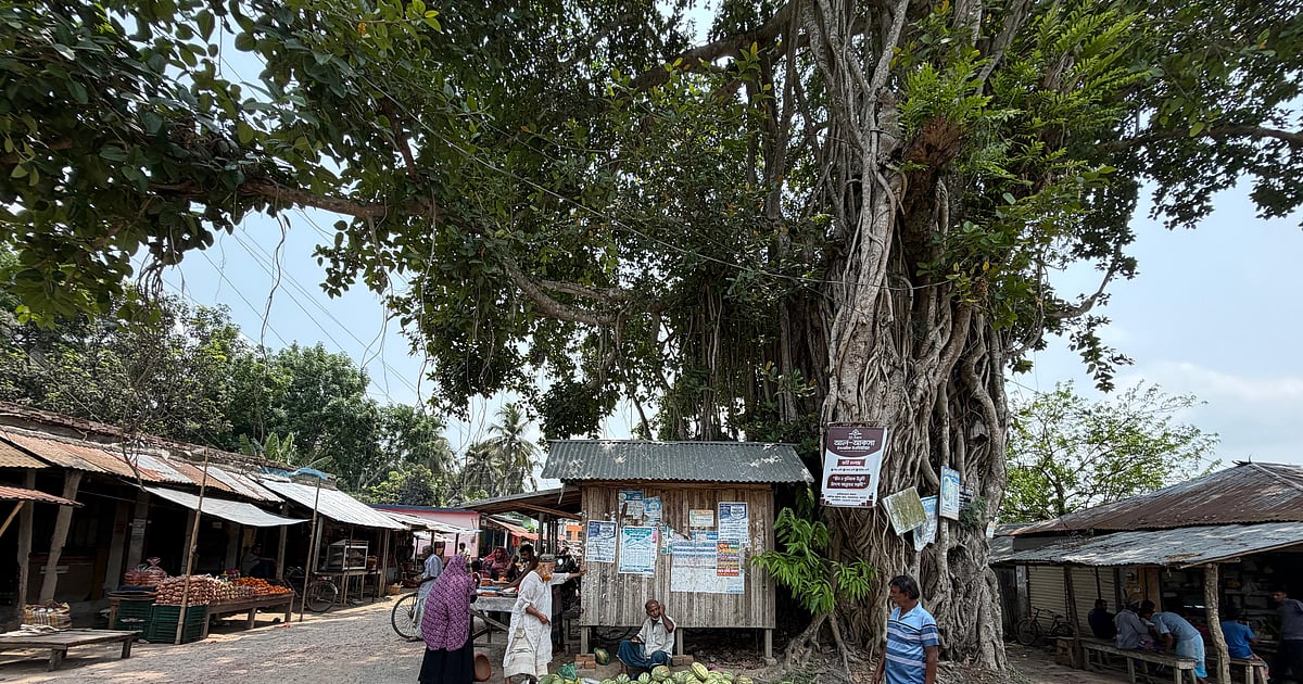 শতবর্ষী ছাতিয়ানতলা হাটের ঐতিহ্য
