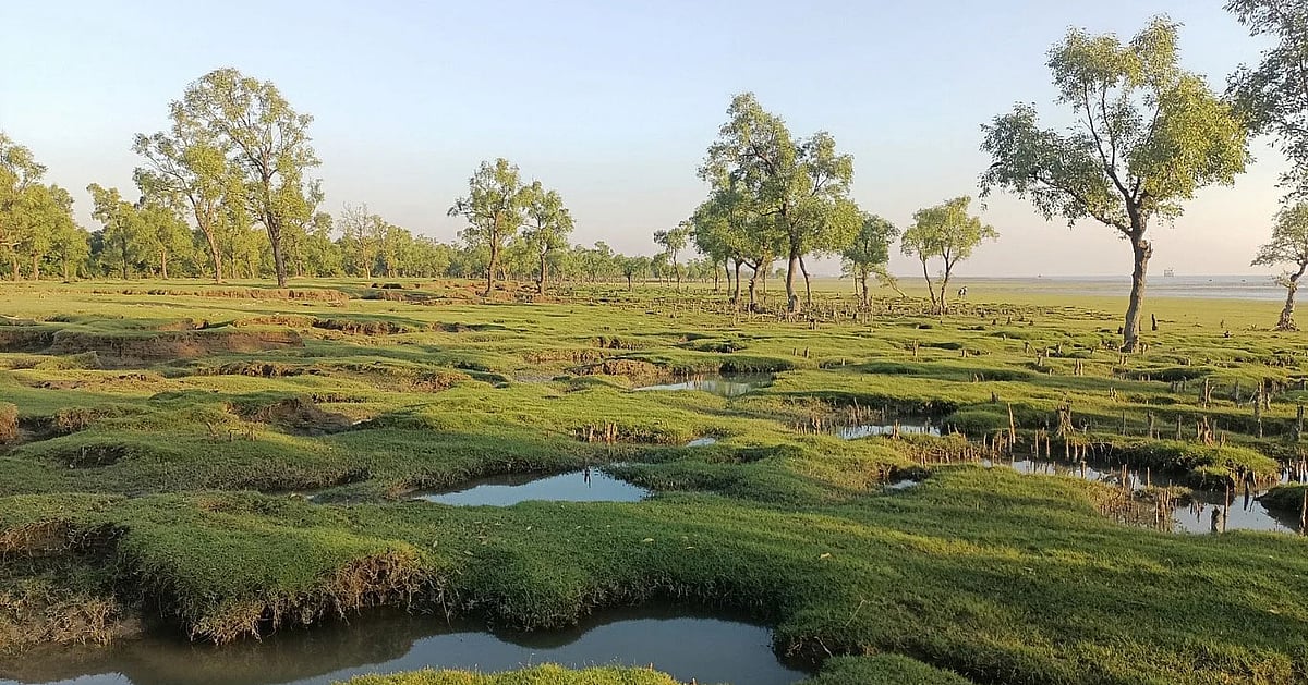 সীতাকুণ্ডের সমুদ্রসৈকতে ঢেউয়ের ধাক্কায় একজন নিখোঁজ