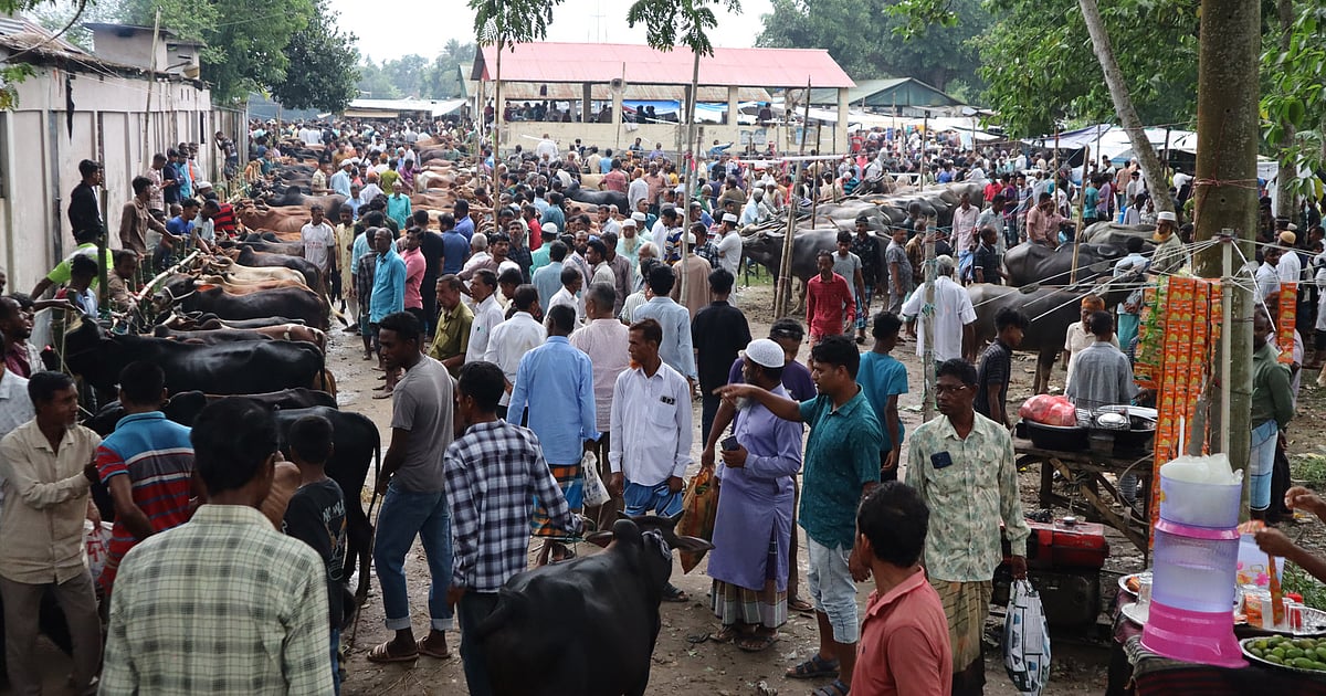 দেশি গরু-মহিষের জন্য পরিচিত আদমপুর বাজার