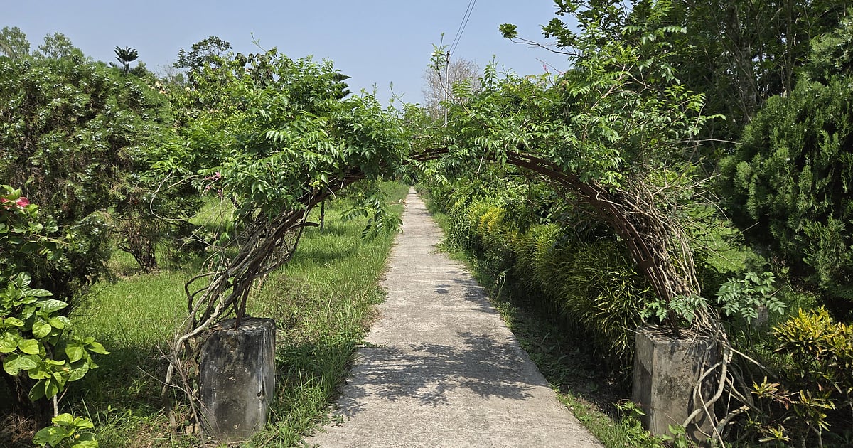 রাজশাহী বিশ্ববিদ্যালয়ের বোটানিক্যাল গার্ডেনের অবহেলা ও অযত্নের কারণে জীববৈচিত্র্যের উন্মুক্ত ভান্ডার ঝুঁকিতে