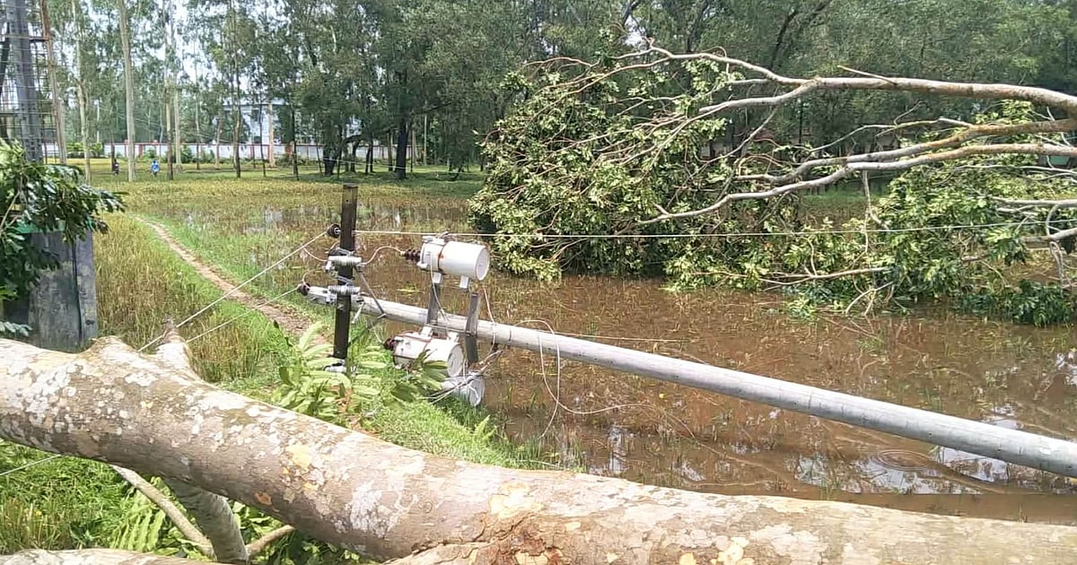 শেরপুরের নালিতাবাড়ীতে ঝড়ের কারণে বিদ্যুৎহীনতা