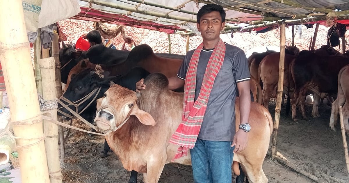 ইসলামী বিশ্ববিদ্যালয়ের ছাত্র তিতাস খানের গরুর খামার