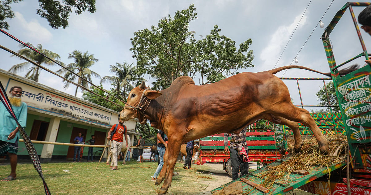 প্রথম আলোর খবর পেতে গুগল নিউজ চ্যানেল ফলো করুন