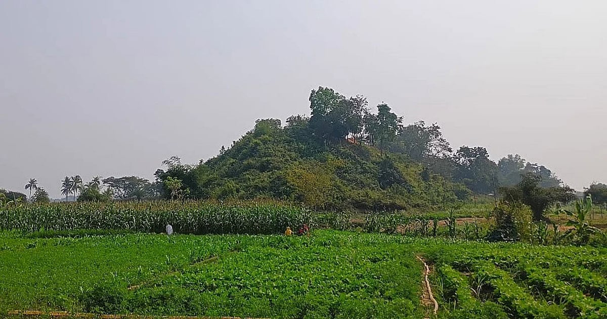 বাংলাদেশের সীমান্তে মাইন বিস্ফোরণে তিন বাংলাদেশি নিহত