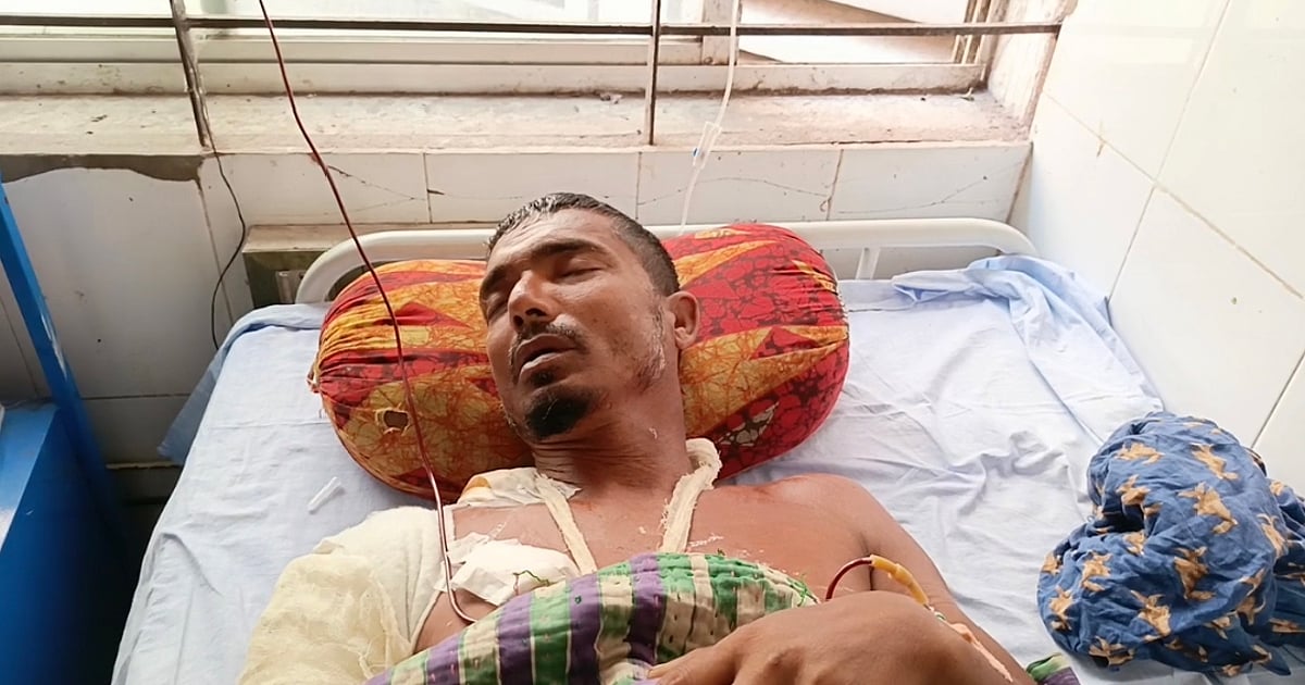 সুন্দরবনে বাঘের আক্রমণে আহত মৌয়ালের গল্প