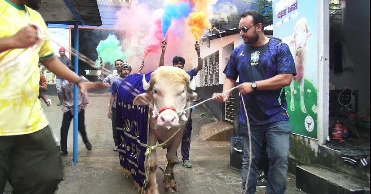 বিশ্বব্যাপী ভাইরাল হয়েছে নারায়ণগঞ্জের এলভিনো জাতের মহিষ