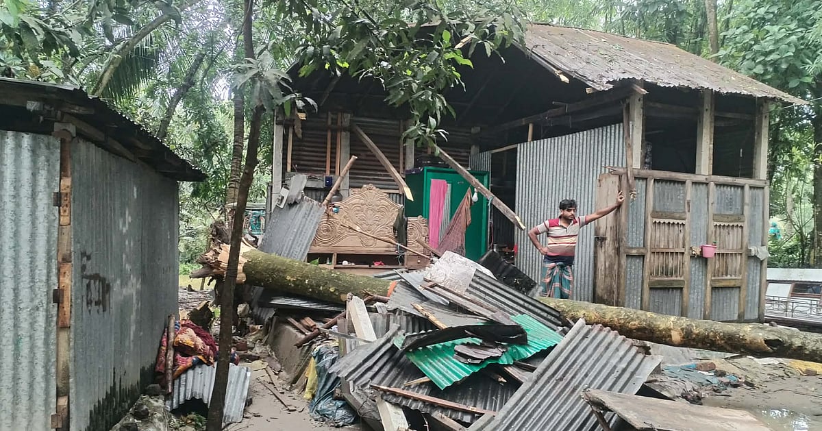 বাড়ির ওপর গাছ ভেঙে পড়ল এক স্কুলছাত্রের মৃত্যু