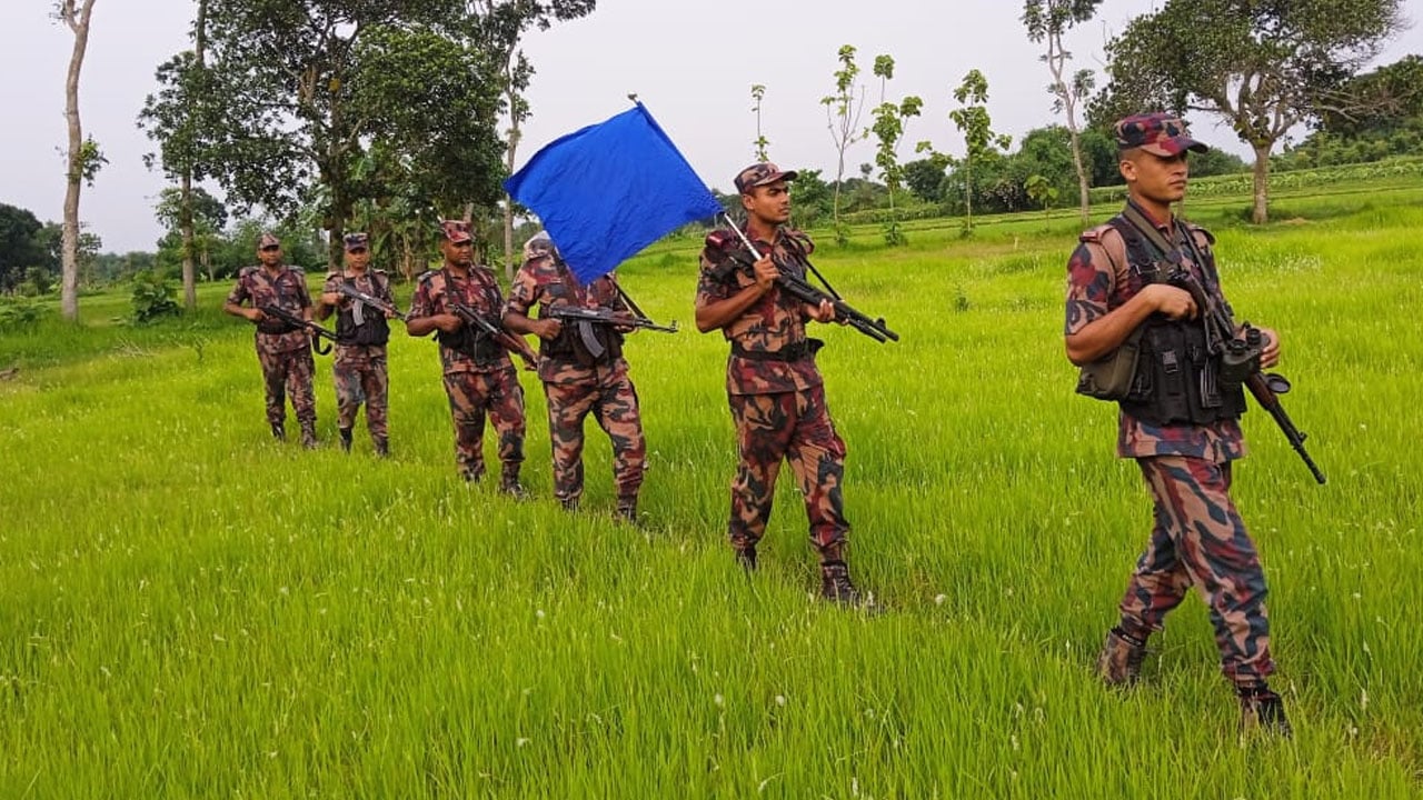 ভারতীয় গরু বাংলাদেশে প্রবেশ করছে সীমান্তের নির্দিষ্ট পয়েন্ট দিয়ে