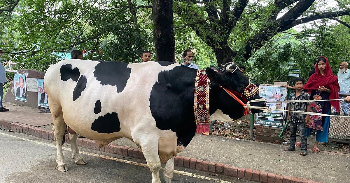 একঝলকের নতুন সংবাদ