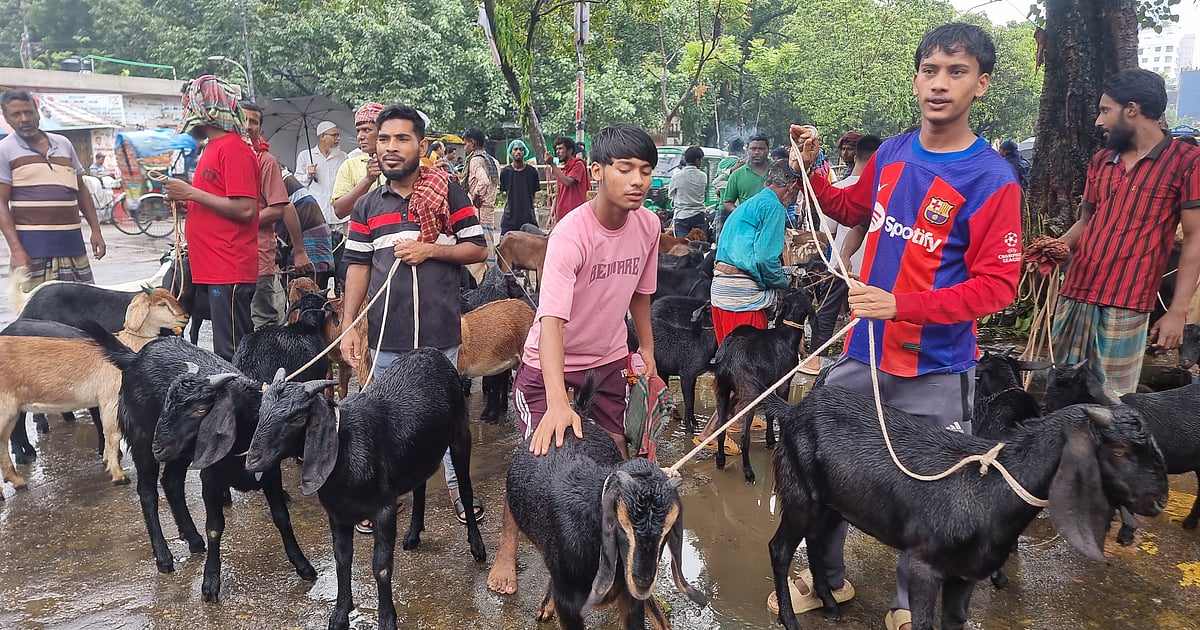 ছাগল কিনলেই হাজার টাকা চাঁদা, ভাগ পাওয়ার দাবি নাকচ পুলিশের
