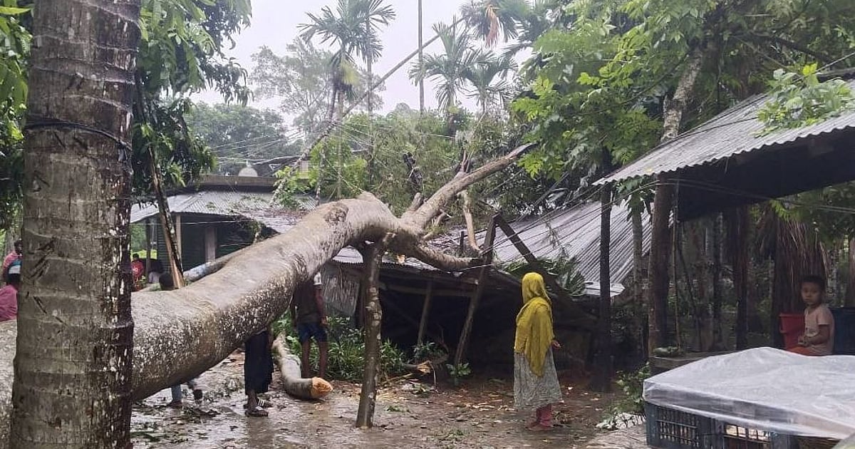 মেহেন্দীগঞ্জে ঝড়ের তাণ্ডবে বাড়িঘর লন্ডভন্ড