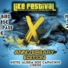 Like Festival X