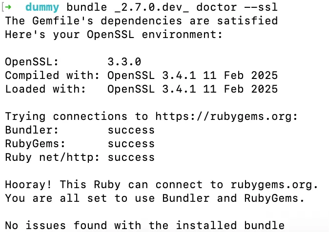 bundle doctor SSL diagnosis output (successful!)