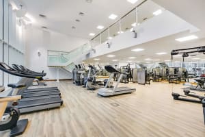Gallery image 20