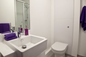 Gallery image 10