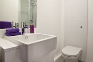 Gallery image 11