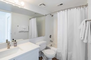 Gallery image 15