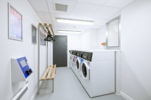 Gallery image 13