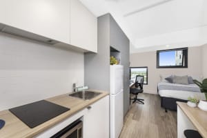Gallery image 7