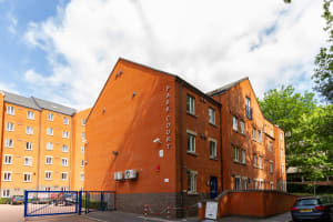 Gallery image 14