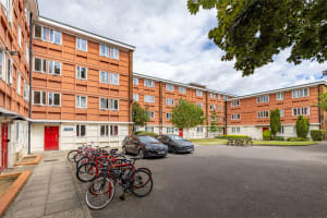 Gallery image 25