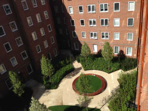Gallery image 19