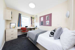 Gallery image 12