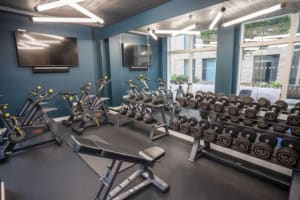 Gallery image 15