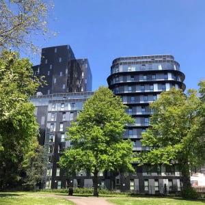 Gallery image 11