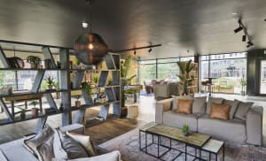 Gallery image 5