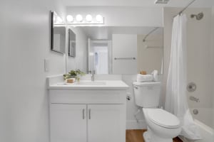 Gallery image 14