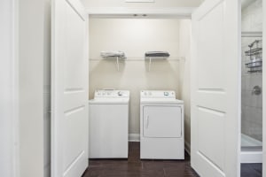 Gallery image 10