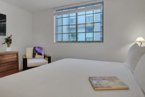Gallery image 19