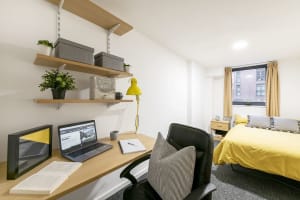 Gallery image 2