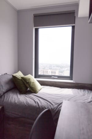 Gallery image 8