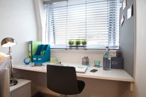 Gallery image 4