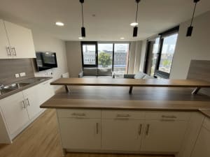 Gallery image 5