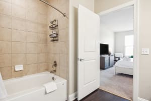 Gallery image 7