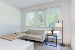 Gallery image 6
